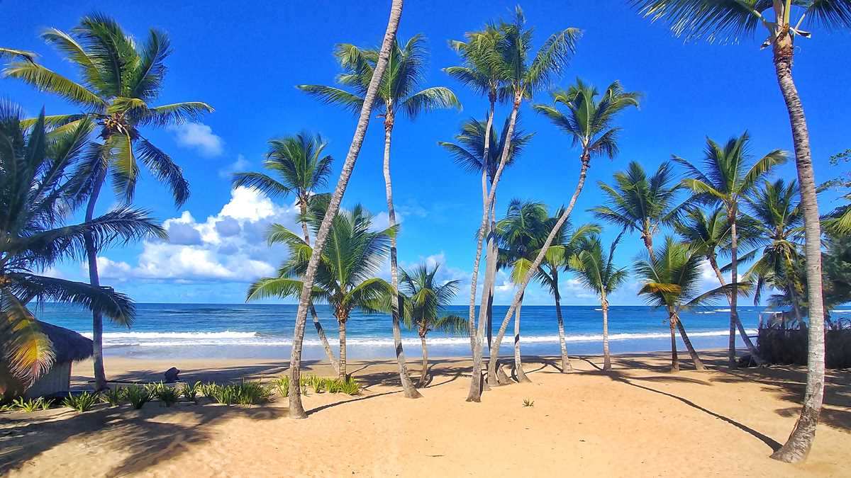 The Top 10 Best Beaches In Punta Cana | Punta Cana Travel Blog