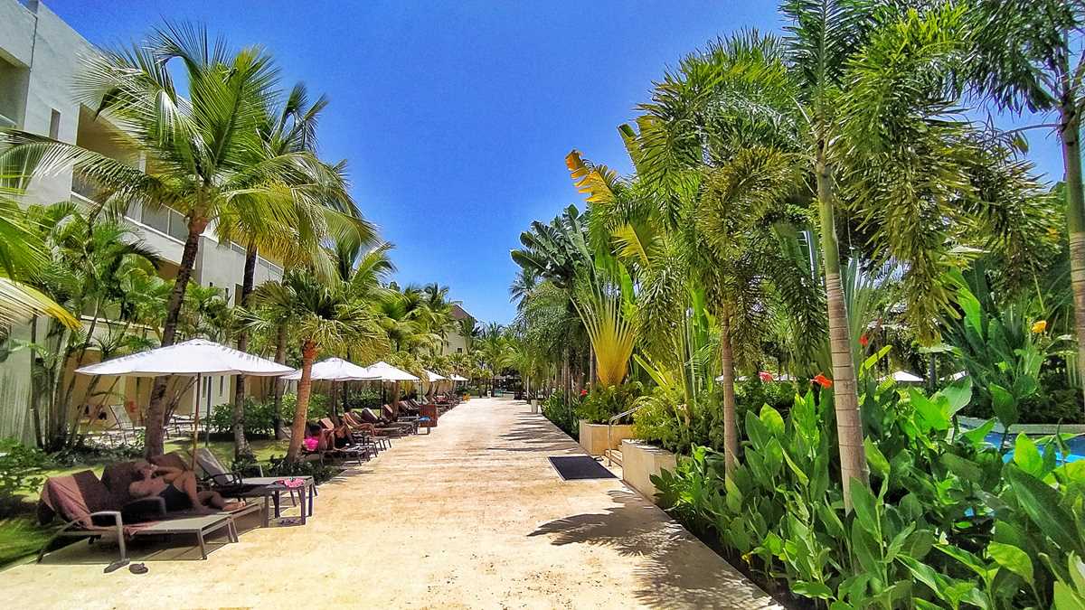 Dreams Royal Beach Punta Cana - a comprehensive review for this all ...