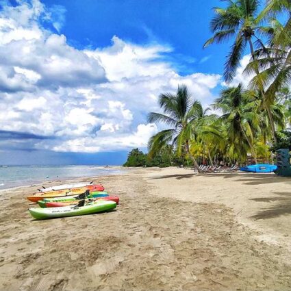 The beach resort of Club Med with palm trees, kayaks, and a beach club