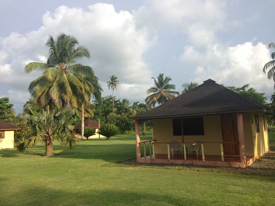 A small, Dominican yellow bungalow surrounded by palm trees and a green lawn.