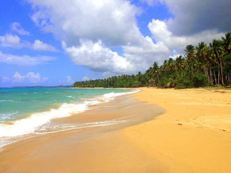 Samaná 3-day itinerary from/to Punta Cana – the most beautiful region ...