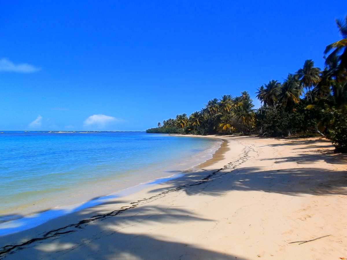 The 22 most beautiful beaches in Samaná | Punta Cana Travel Blog