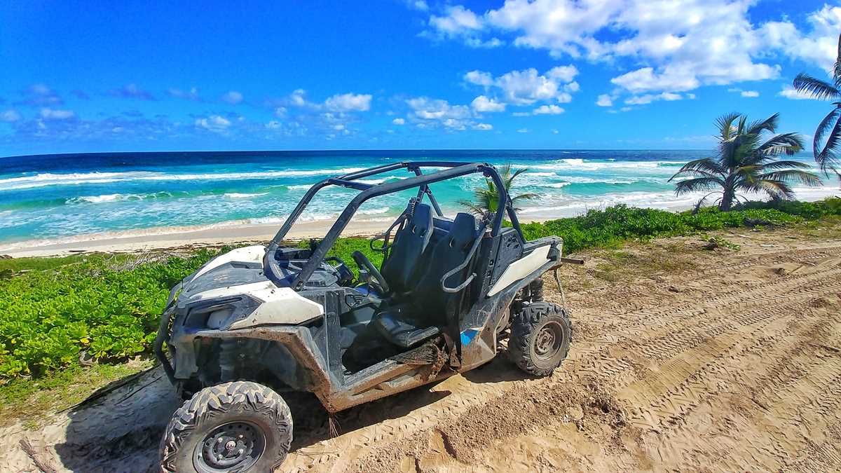 tours point punta cana buggy