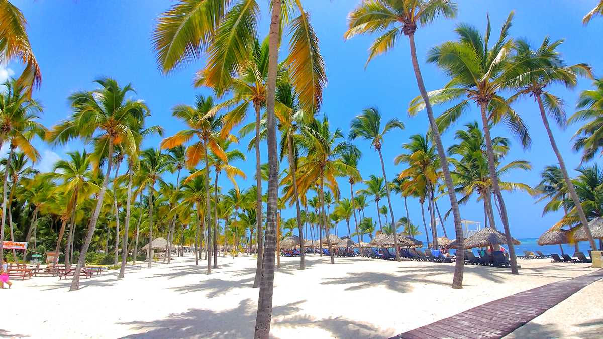 Catalonia Royal Bavaro – a comprehensive review for this Punta Cana ...